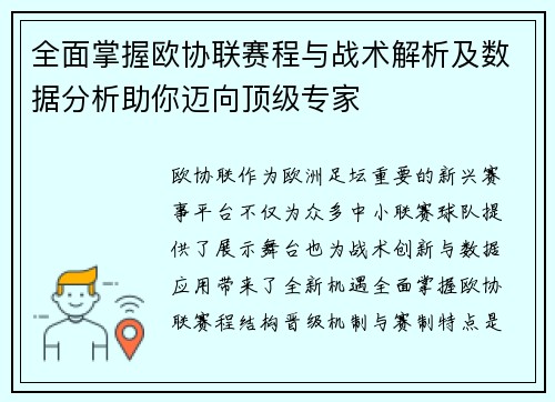 全面掌握欧协联赛程与战术解析及数据分析助你迈向顶级专家